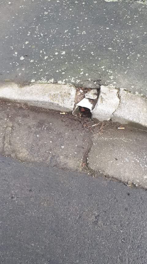 Roading/Streets, a report photo