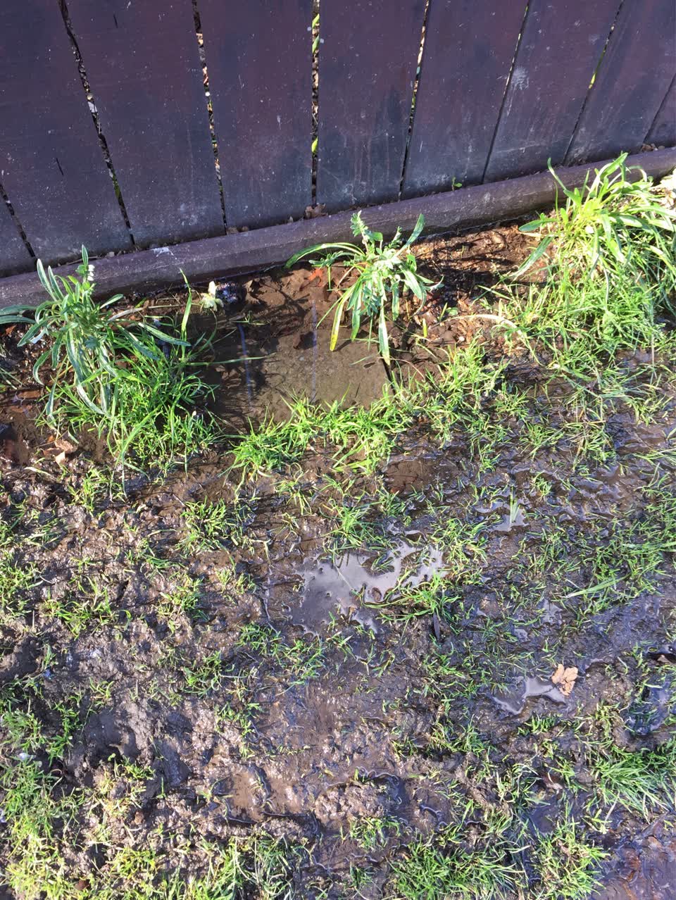The photograph attached to this water supply report