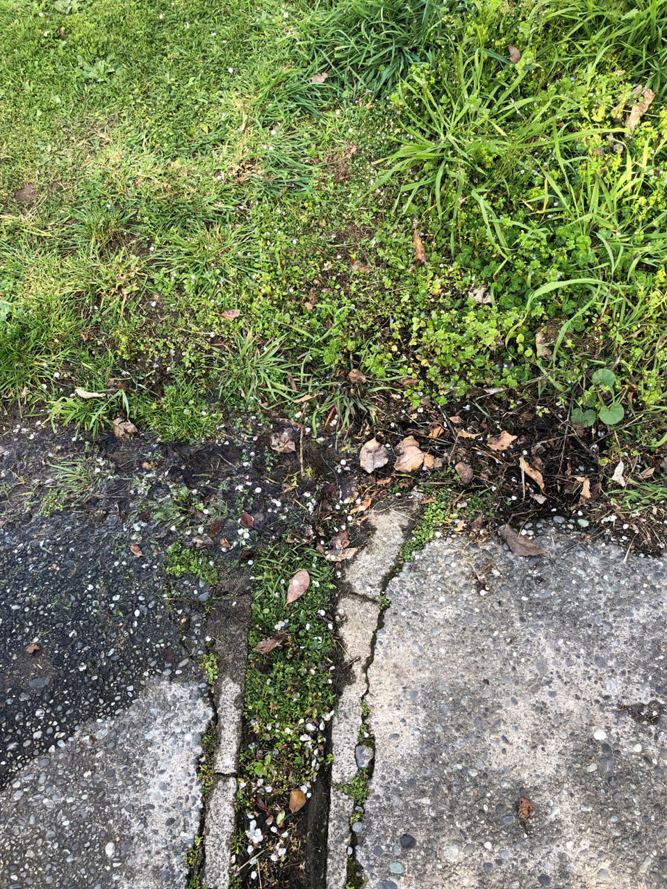 The photograph attached to this wastewater/stormwater report