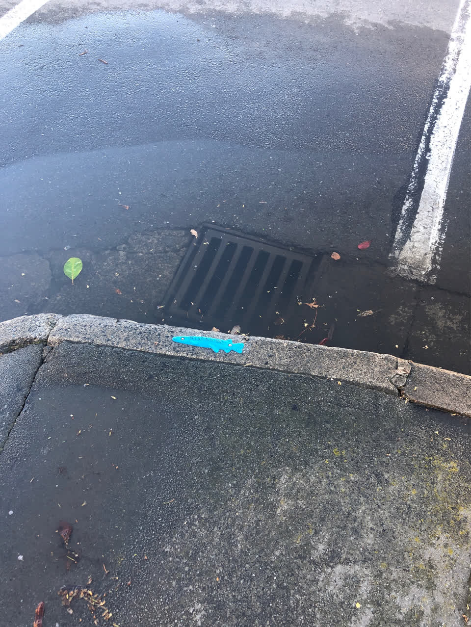 The photograph attached to this flooding report