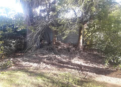 Parks, a report photo