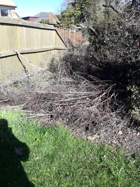 Rubbish/Recycling, a report photo