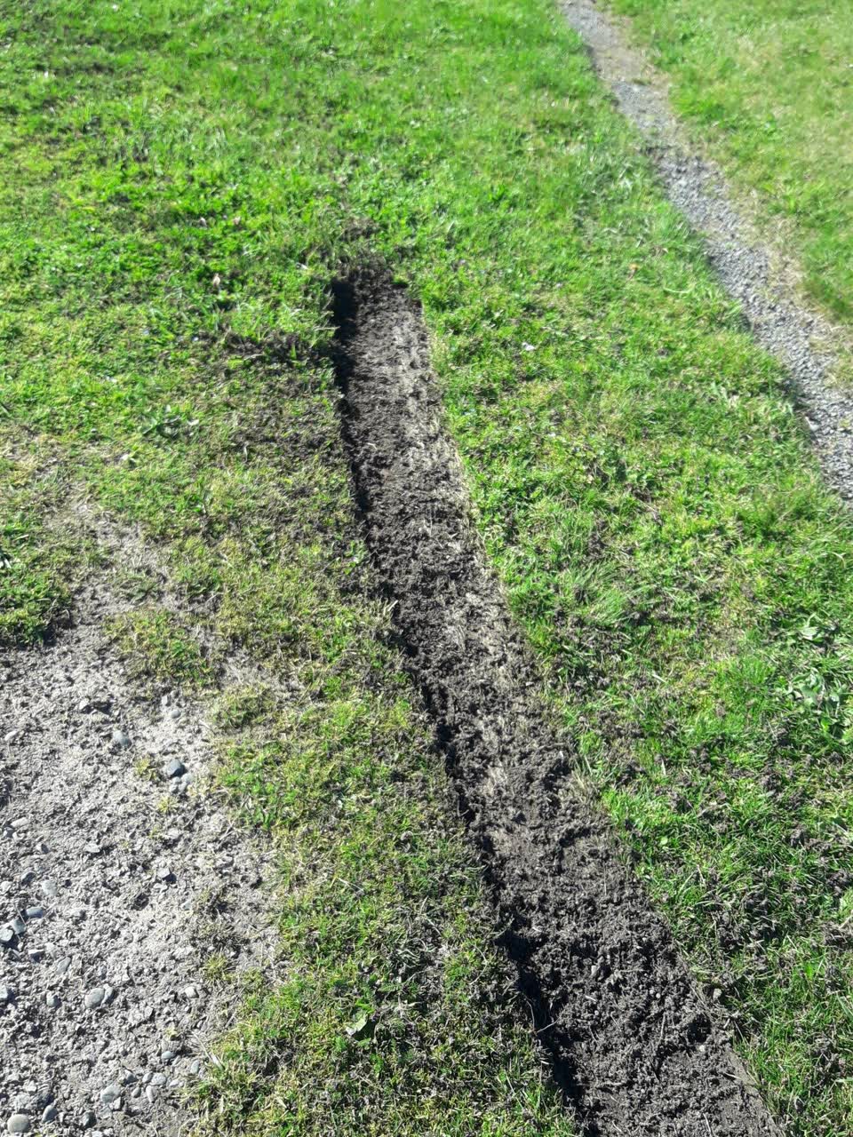 The photograph attached to this parks report