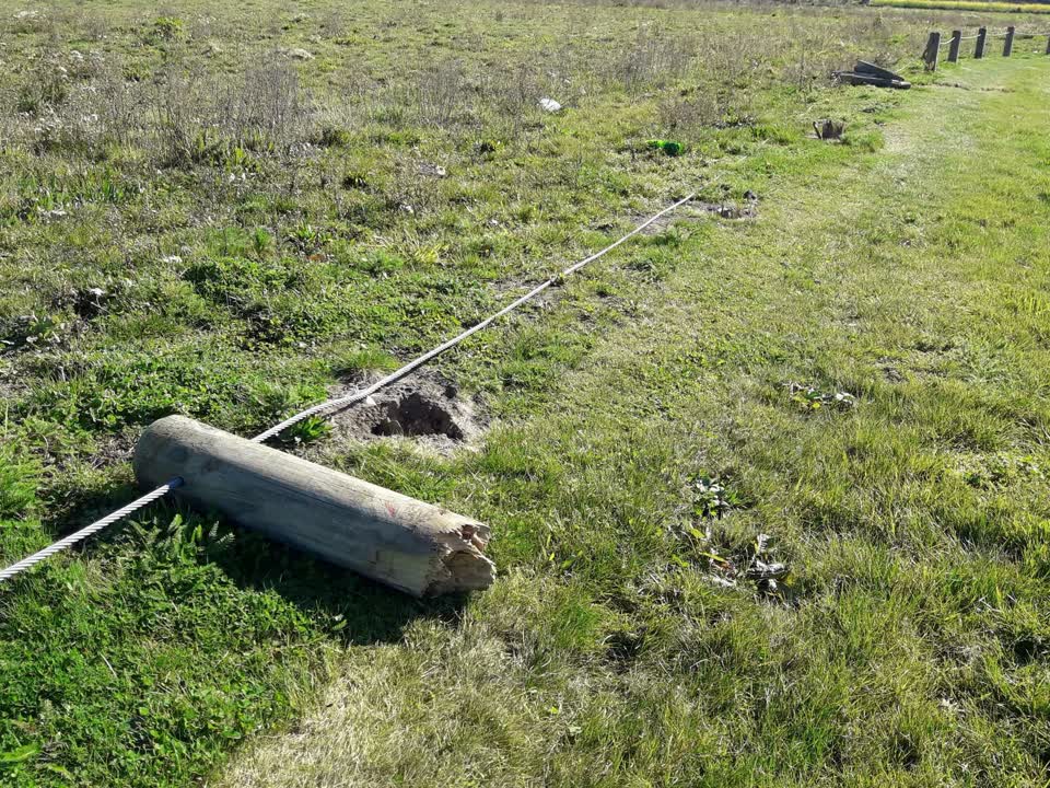 The photograph attached to this parks report