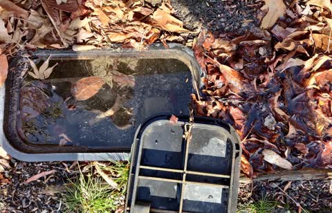 Flooding, a report photo