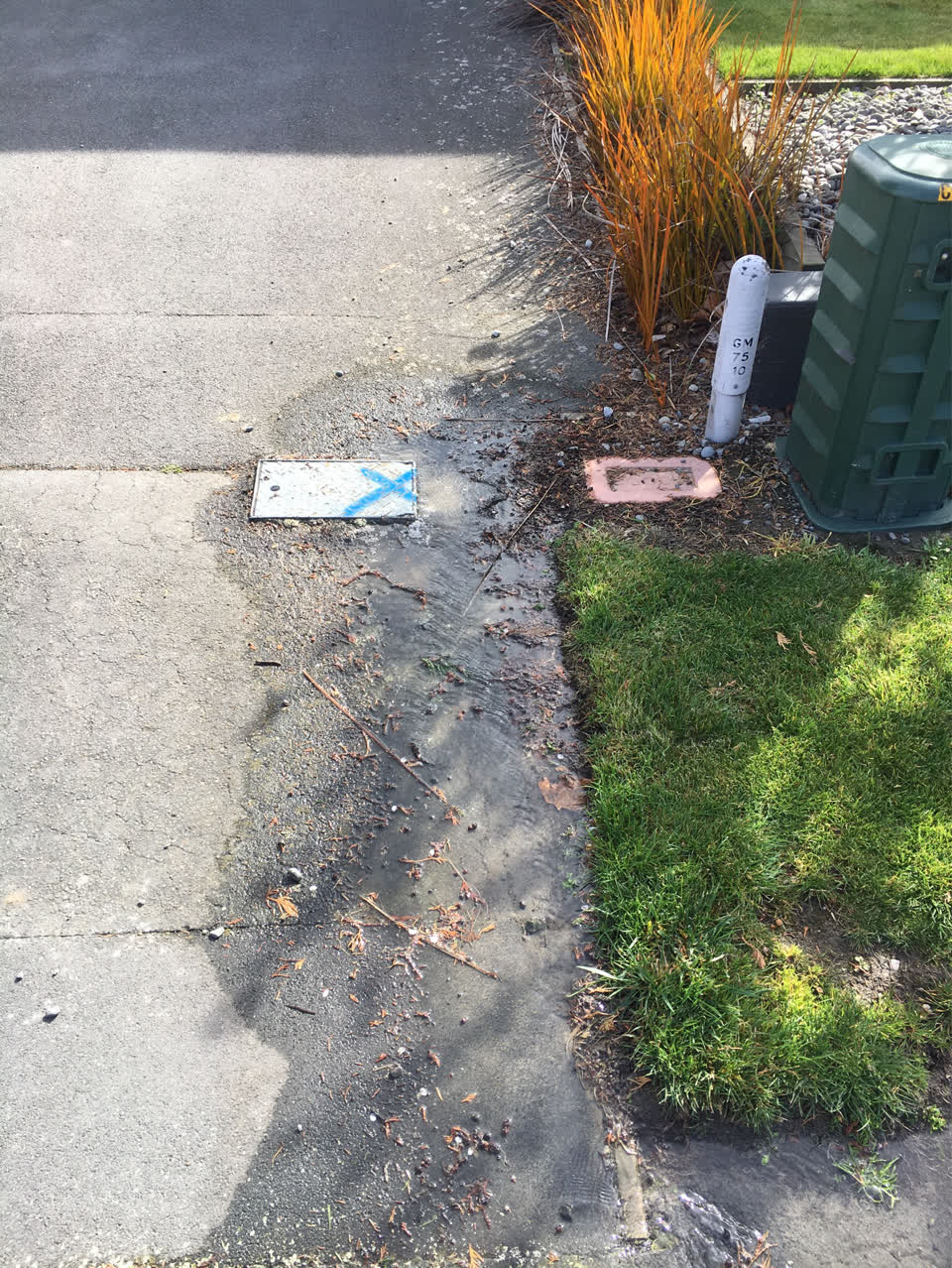 The photograph attached to this water supply report
