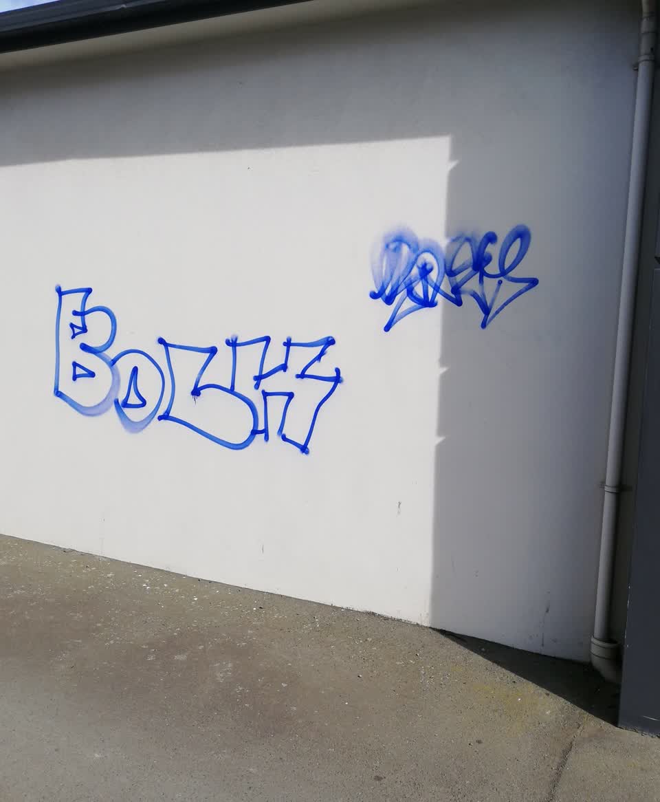 The photograph attached to this graffiti report