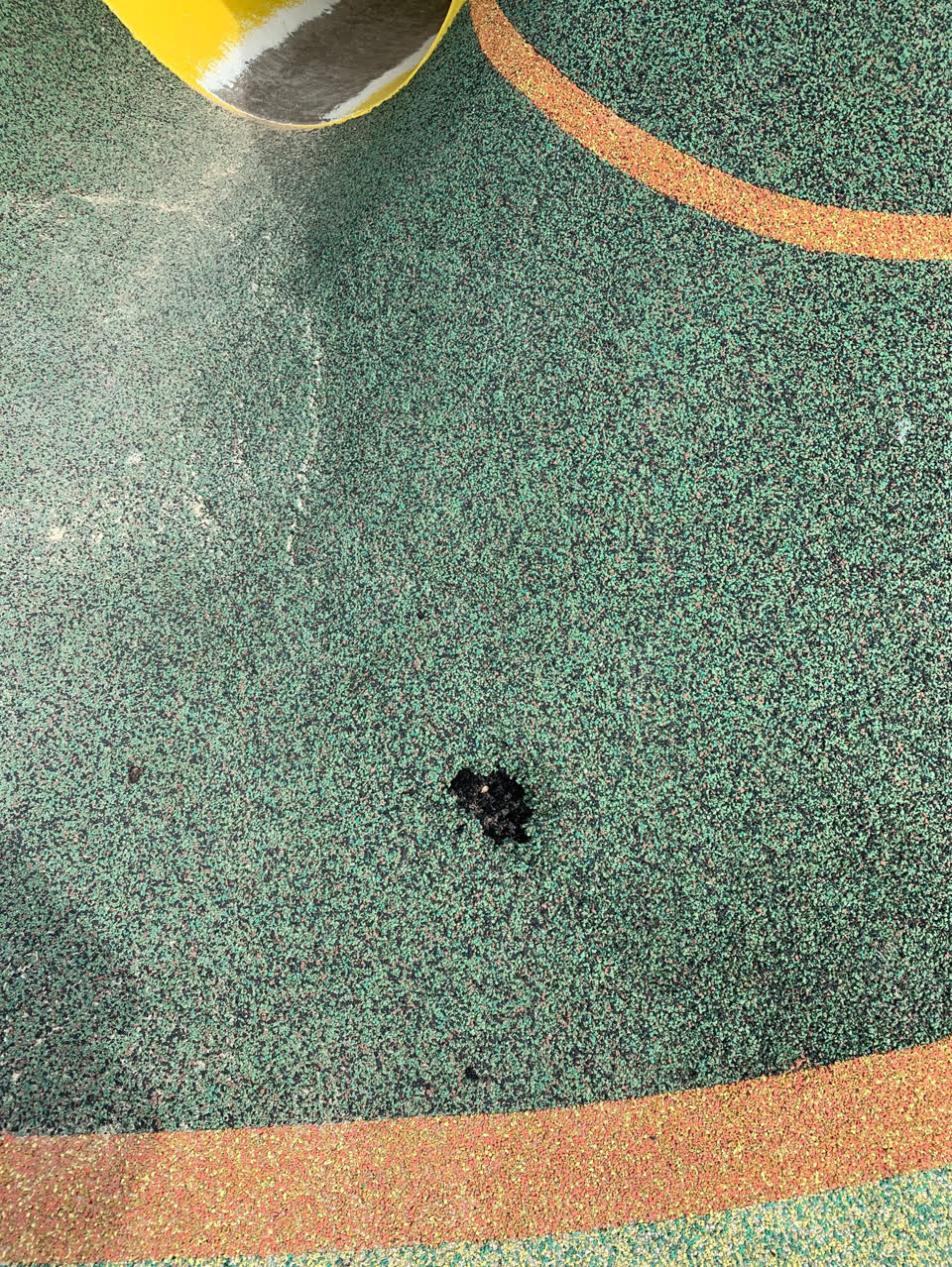The photograph attached to this parks report