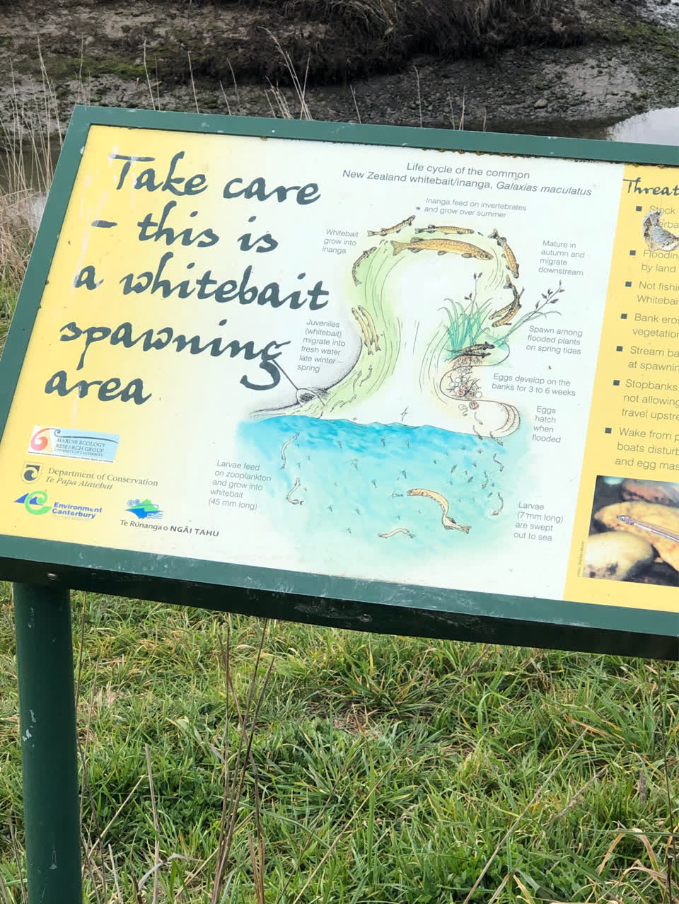 The photograph attached to this parks report