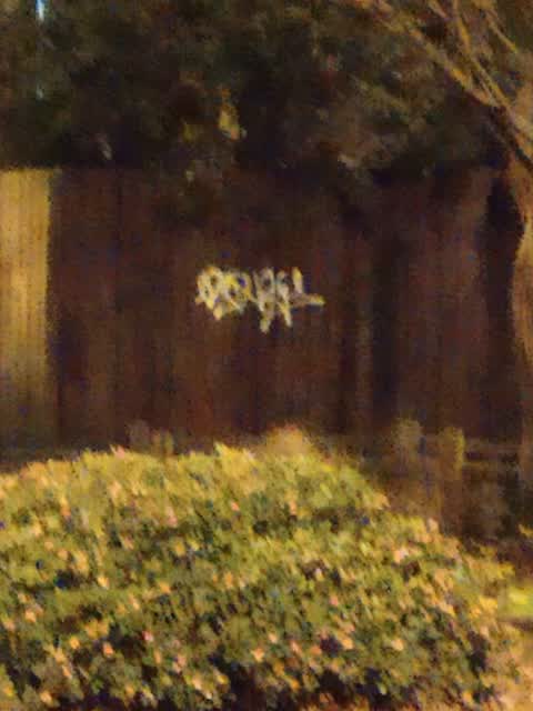 Graffiti, a report photo