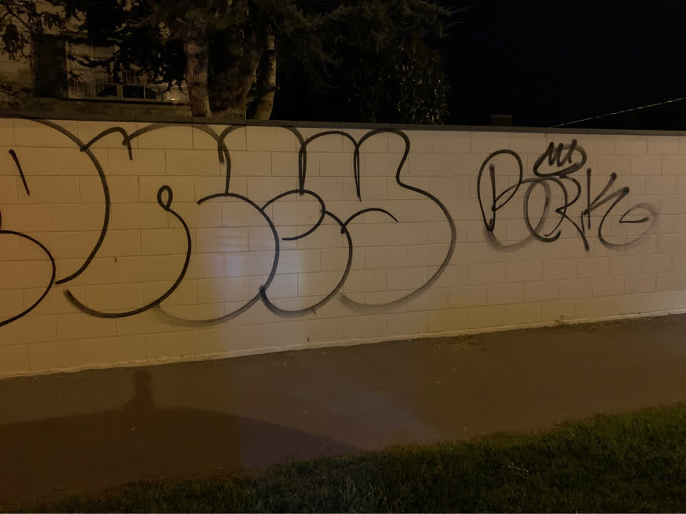 The photograph attached to this graffiti report