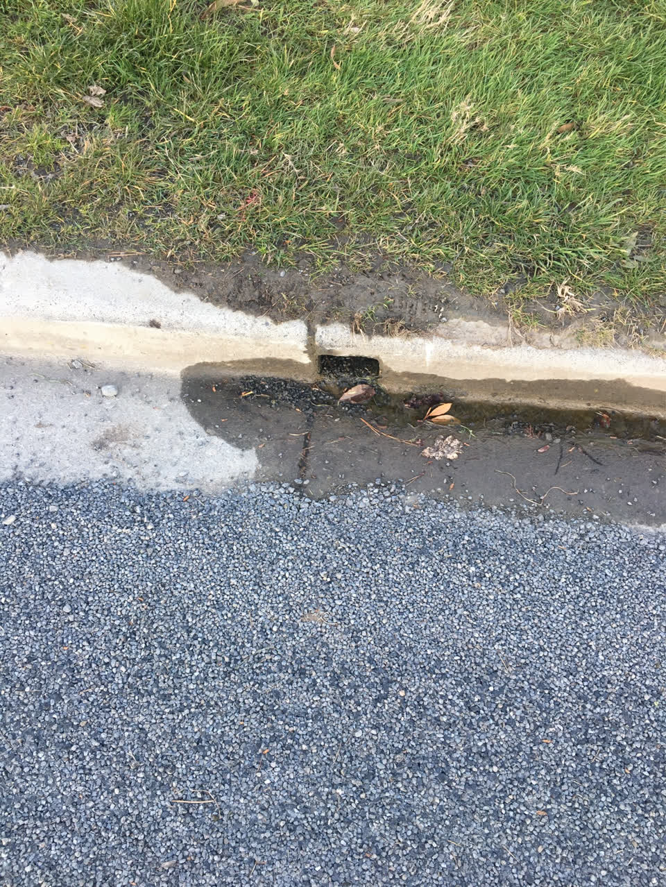 The photograph attached to this water supply report