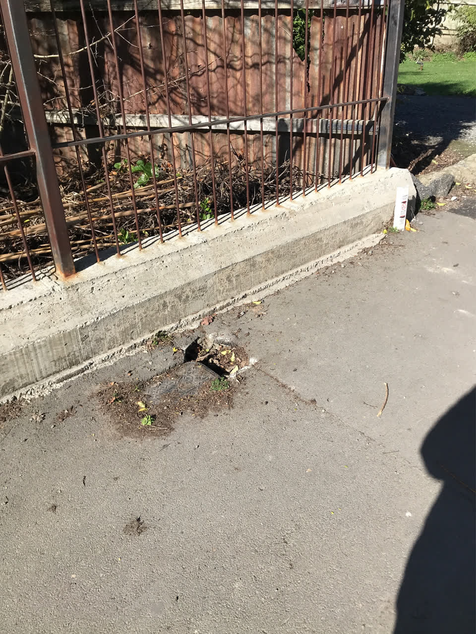 The photograph attached to this roading/streets report