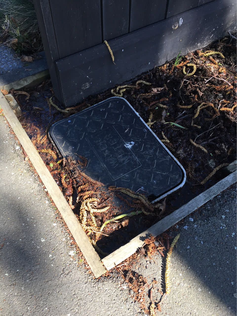 The photograph attached to this water supply report
