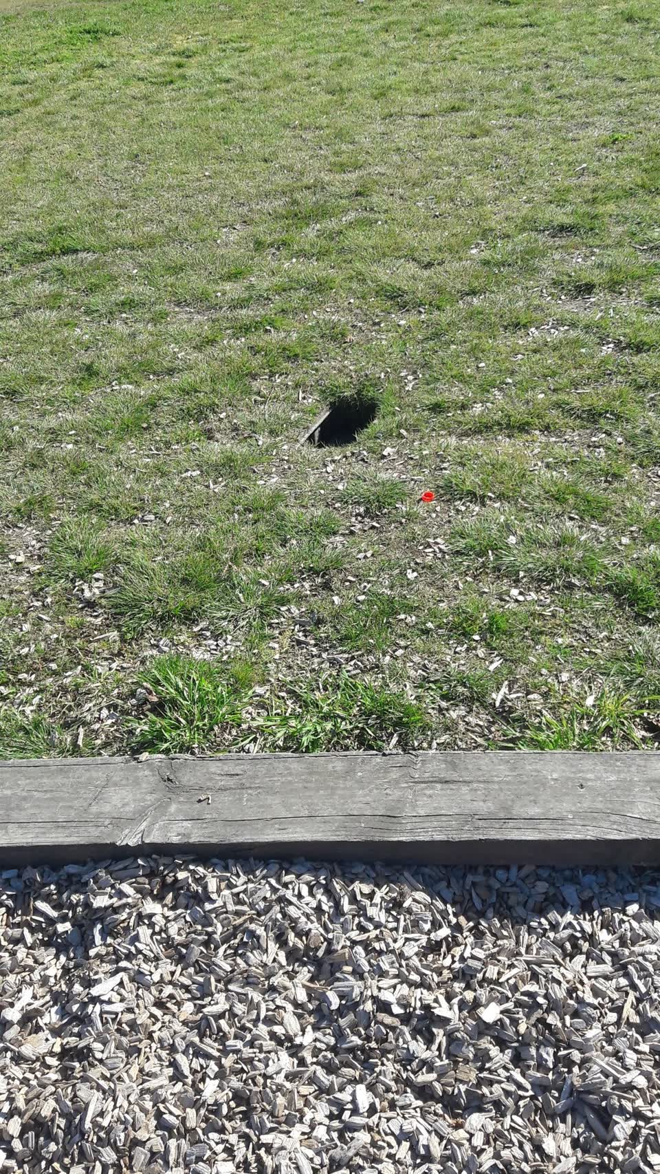 The photograph attached to this parks report