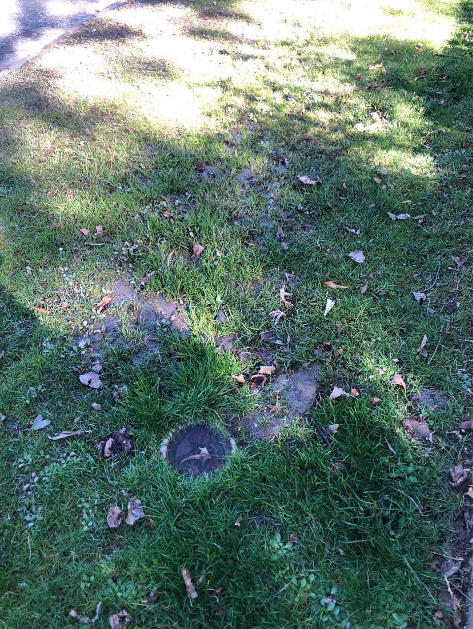 The photograph attached to this water supply report