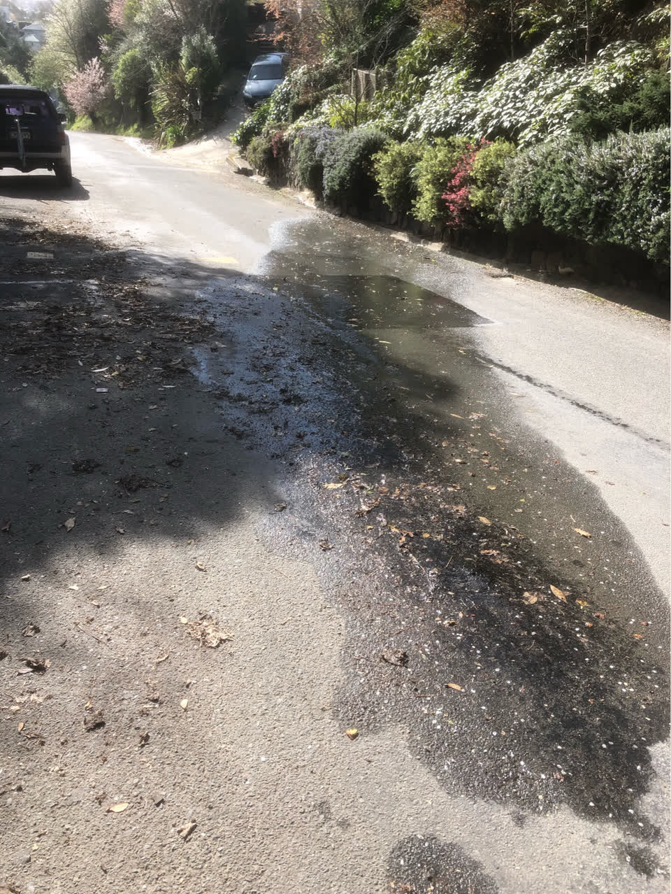 The photograph attached to this flooding report