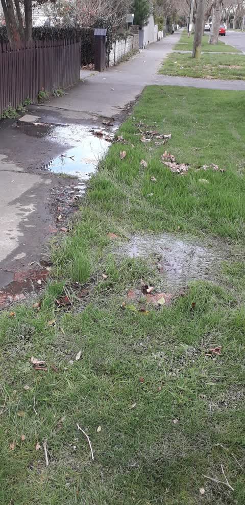 Water Supply, a report photo