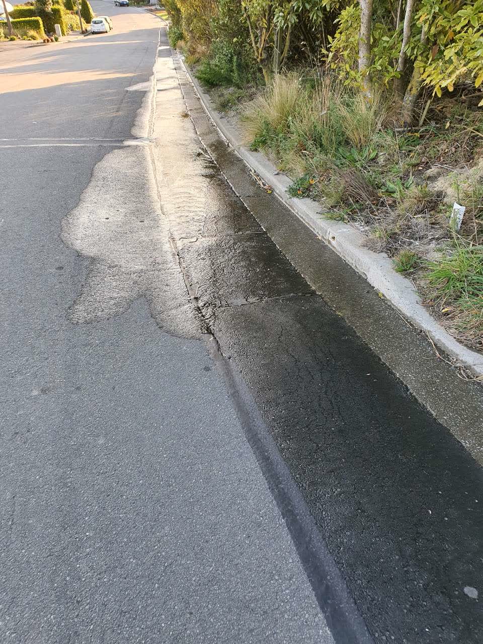The photograph attached to this water supply report