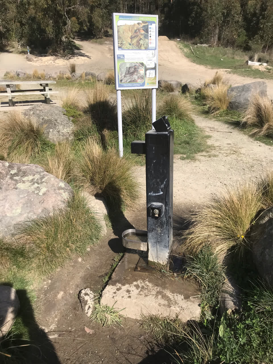 The photograph attached to this parks report