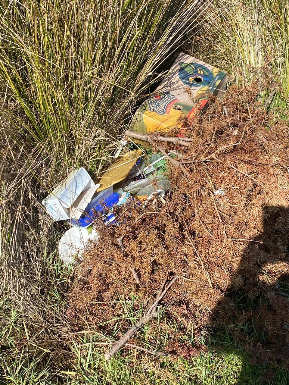 The photograph attached to this rubbish/recycling report