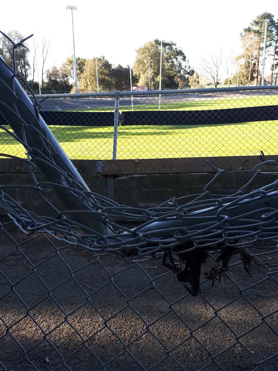 The photograph attached to this parks report