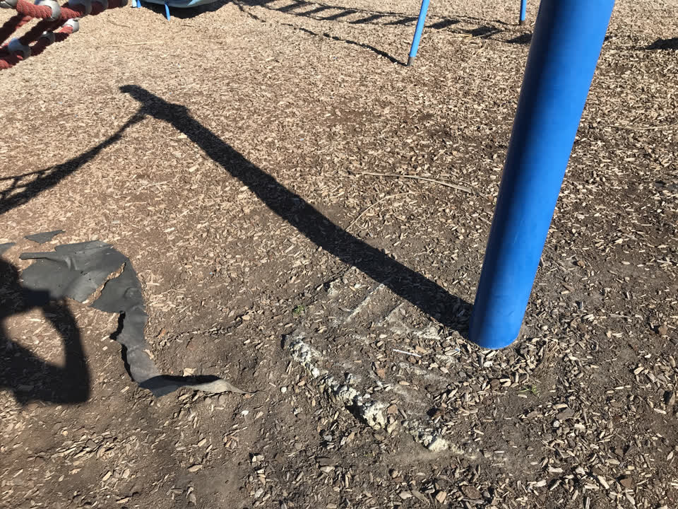 The photograph attached to this parks report