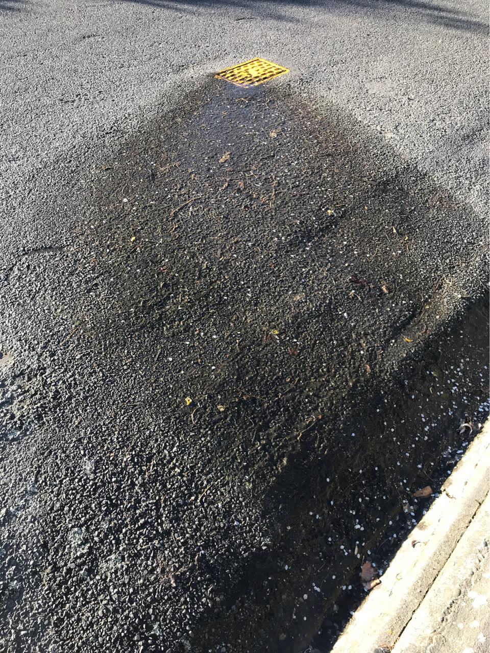 The photograph attached to this roading/streets report