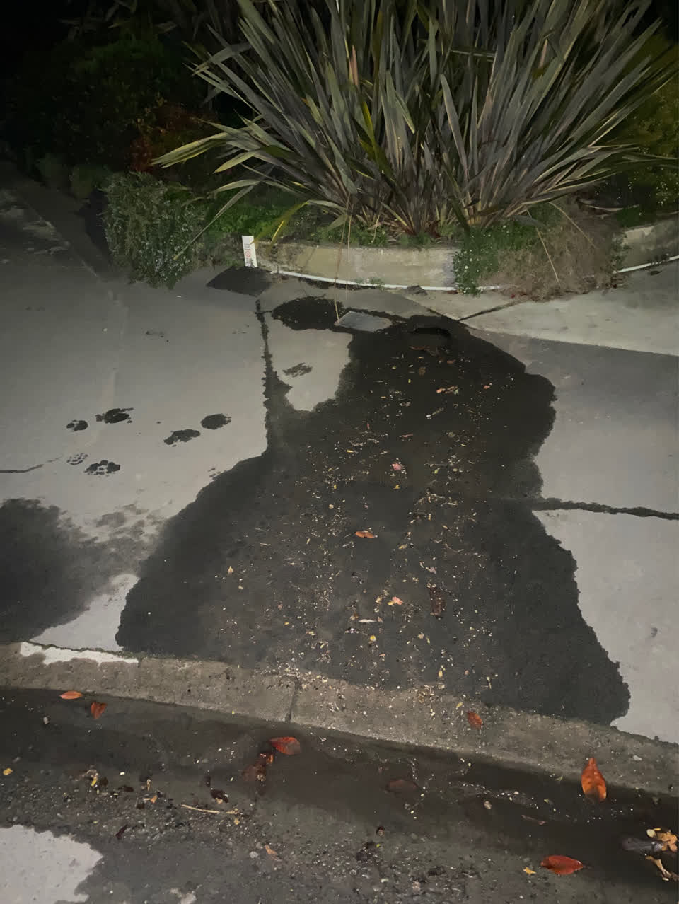 The photograph attached to this water supply report