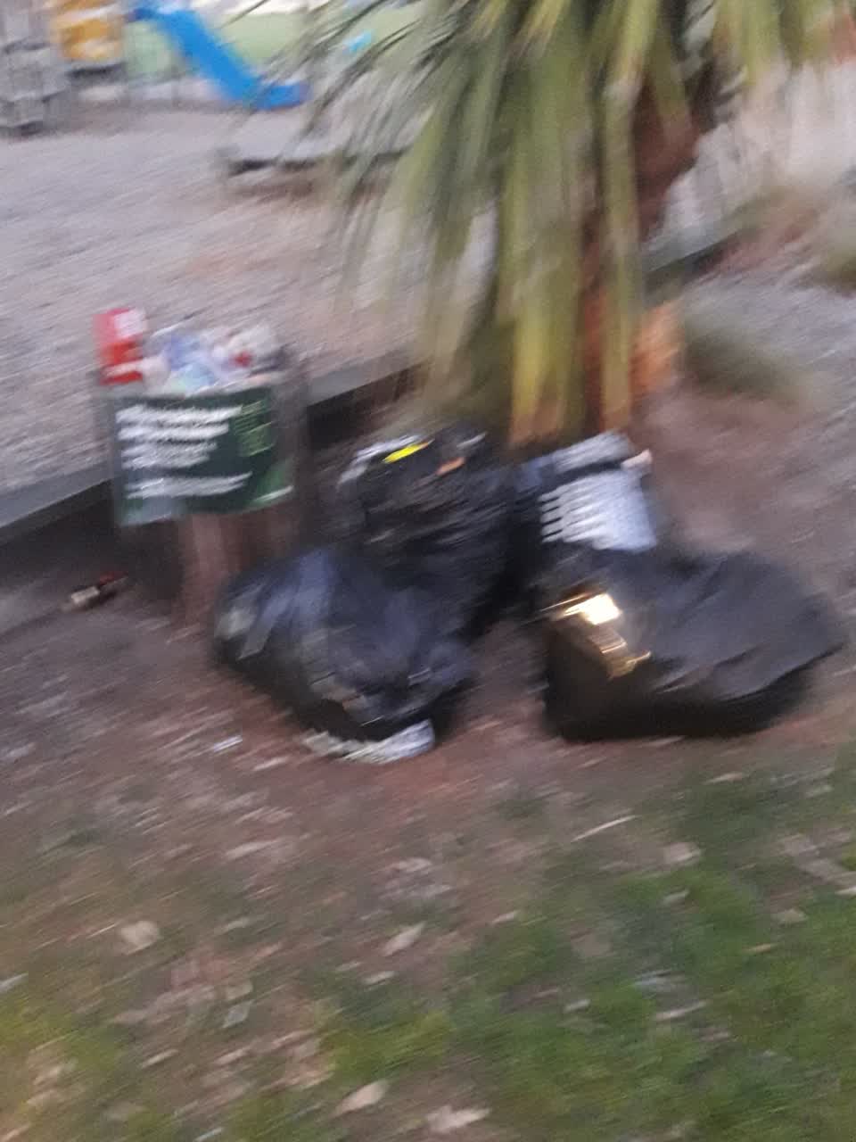 The photograph attached to this parks report