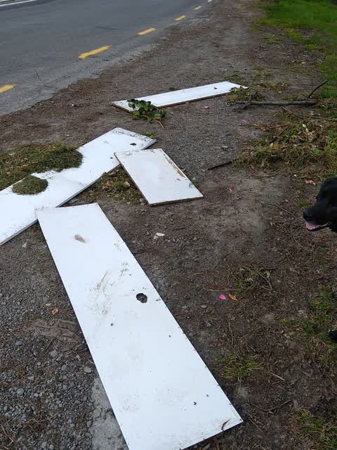 Rubbish/Recycling, a report photo