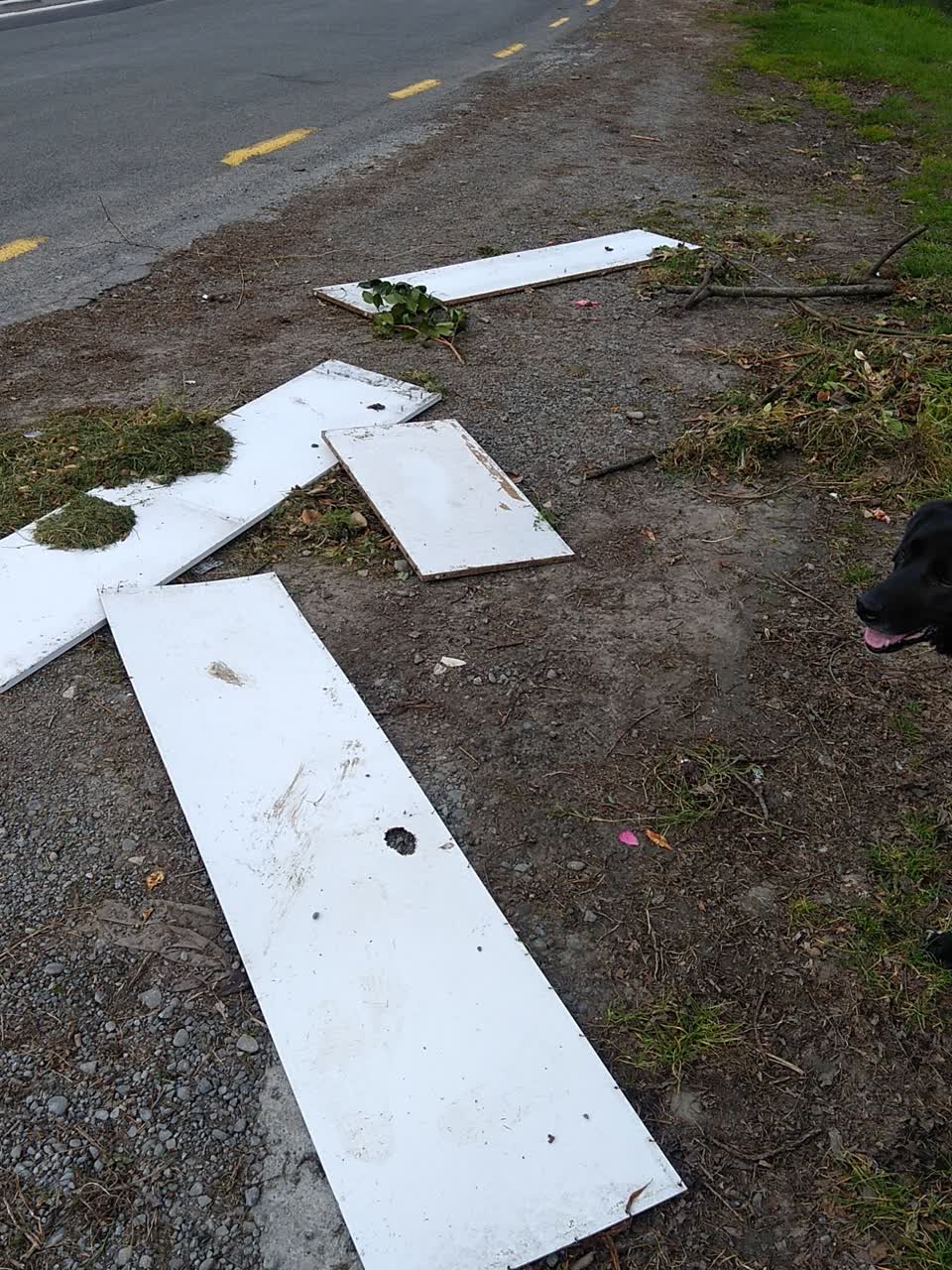 The photograph attached to this rubbish/recycling report