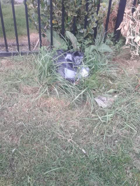 Parks, a report photo