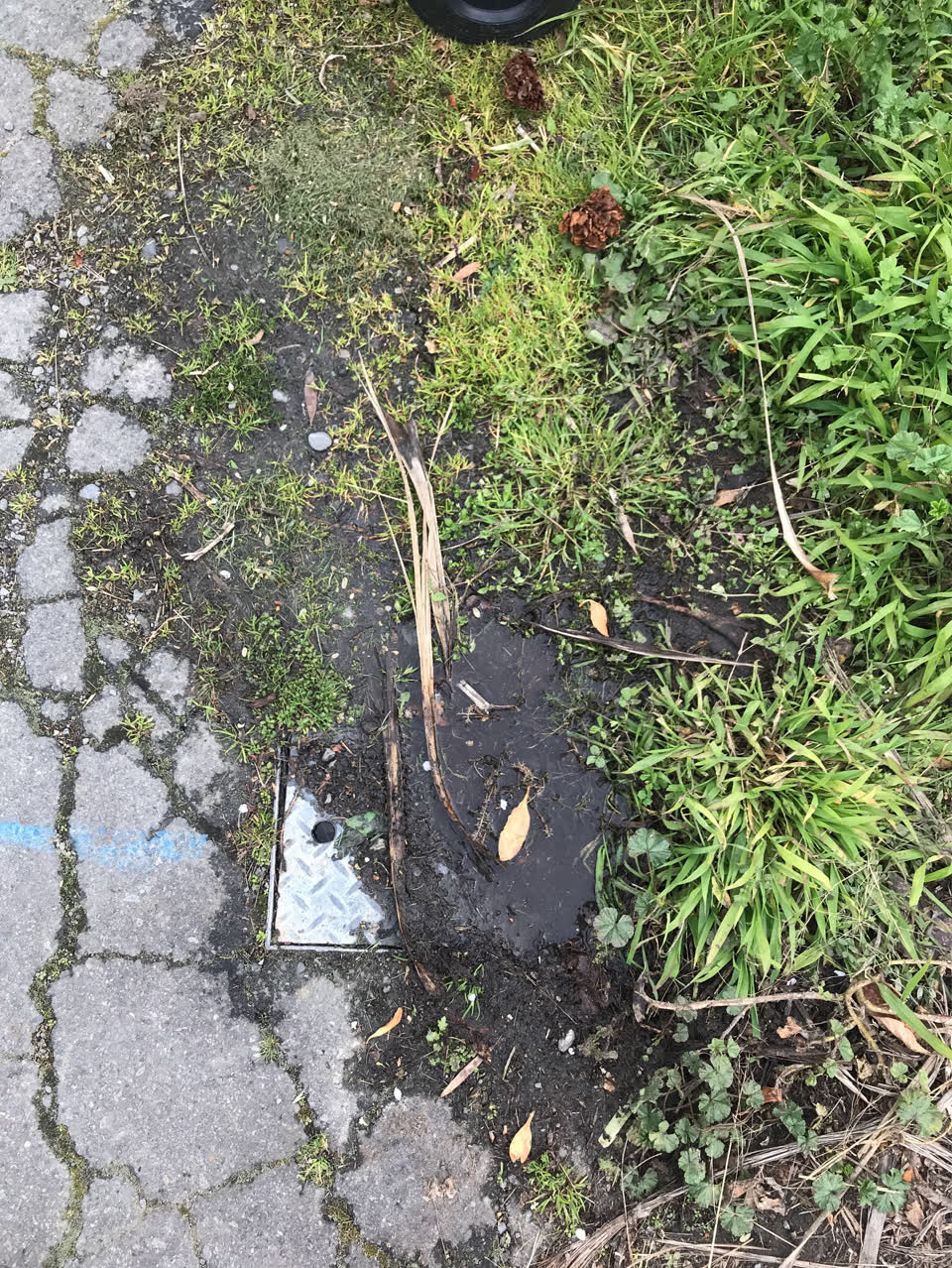 The photograph attached to this water supply report