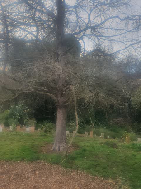 Parks, a report photo