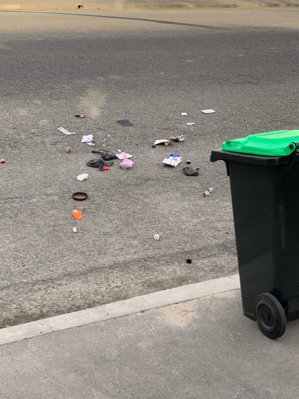 The photograph attached to this rubbish/recycling report