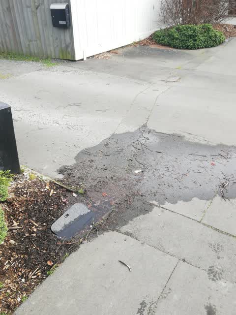 Water Supply, a report photo