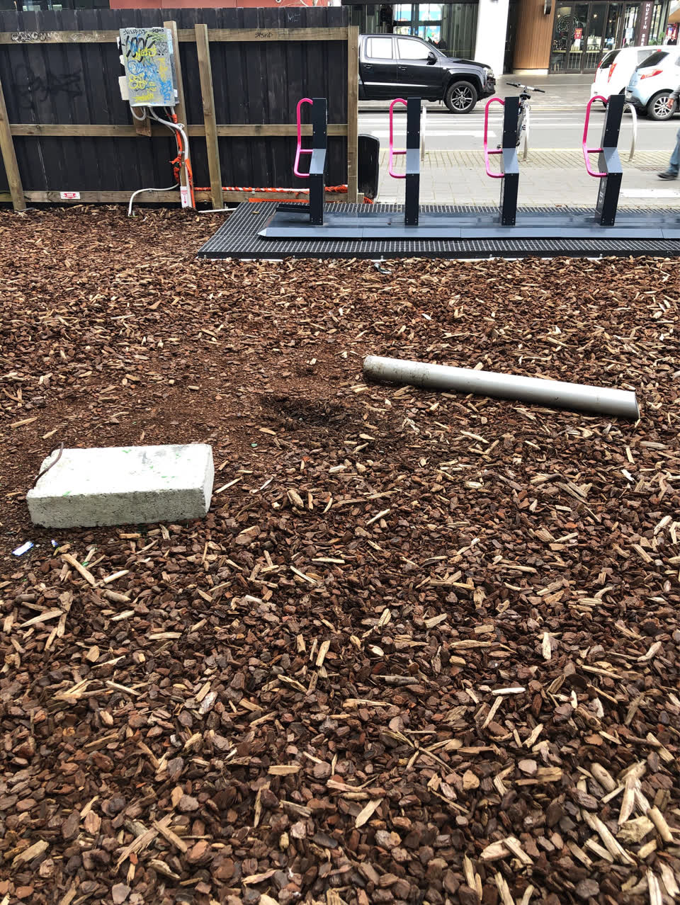 The photograph attached to this parks report