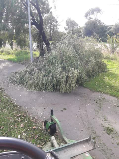 Parks, a report photo