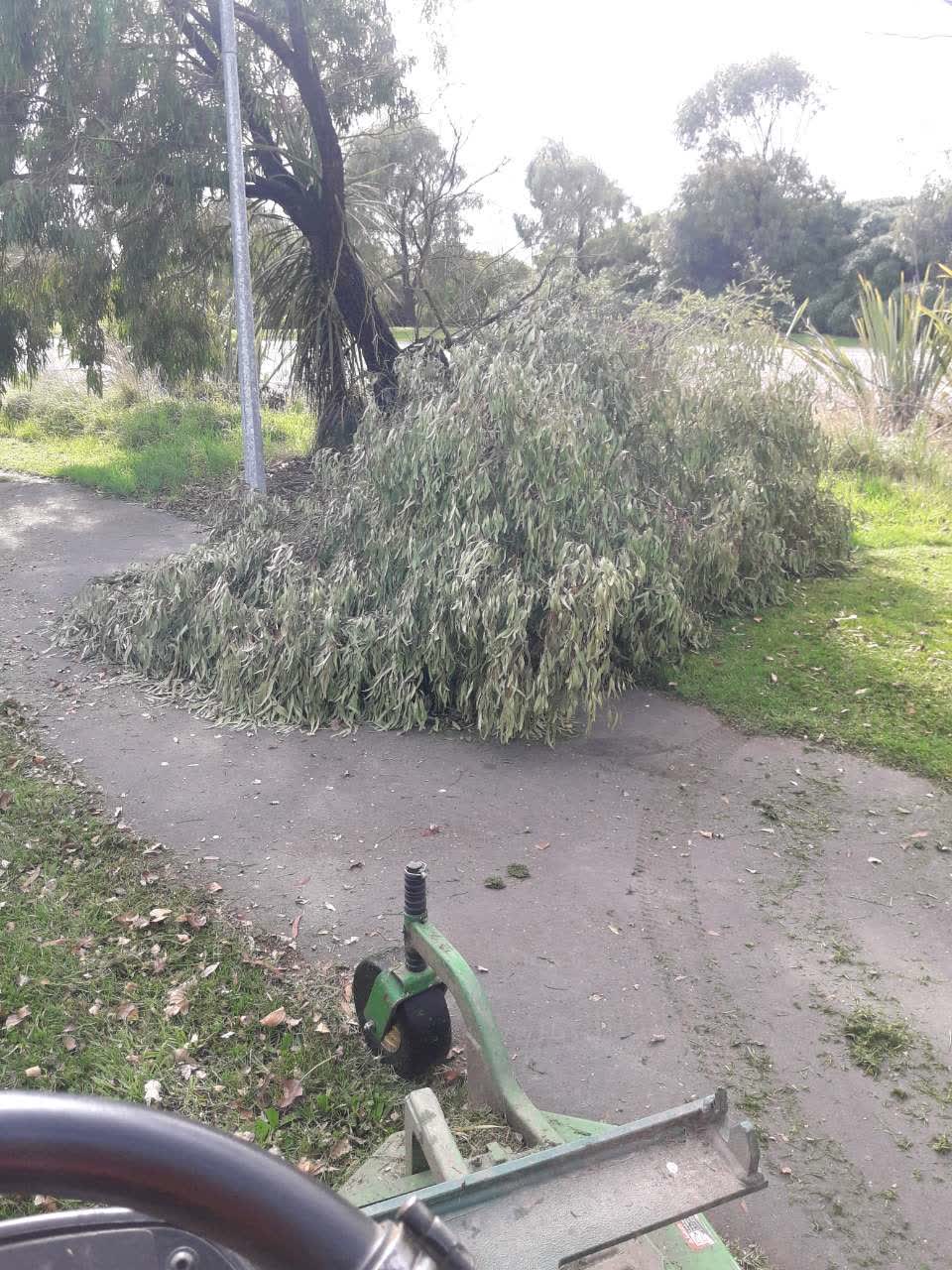 The photograph attached to this parks report