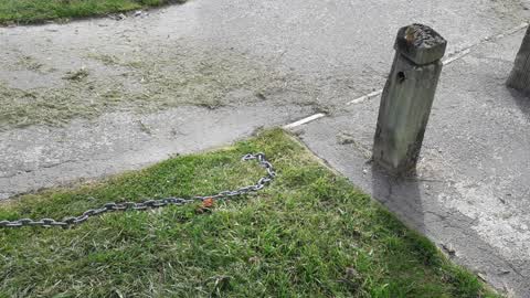 Parks, a report photo