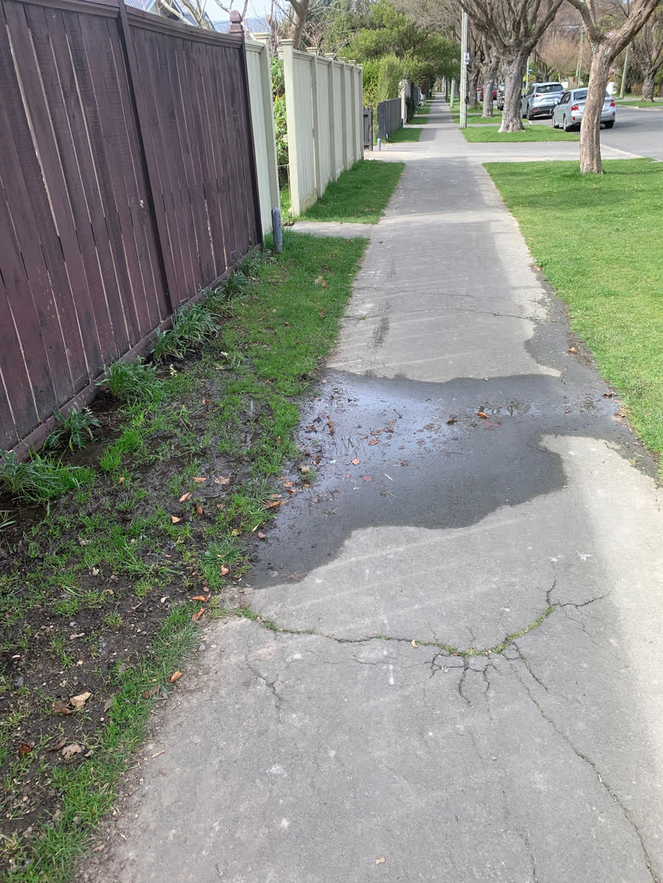 The photograph attached to this water supply report