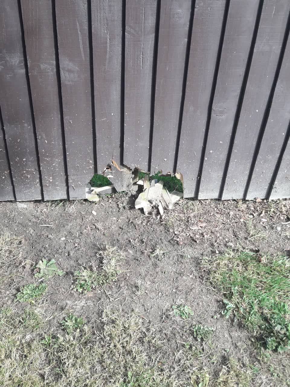 The photograph attached to this parks report