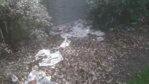 Parks, a report photo