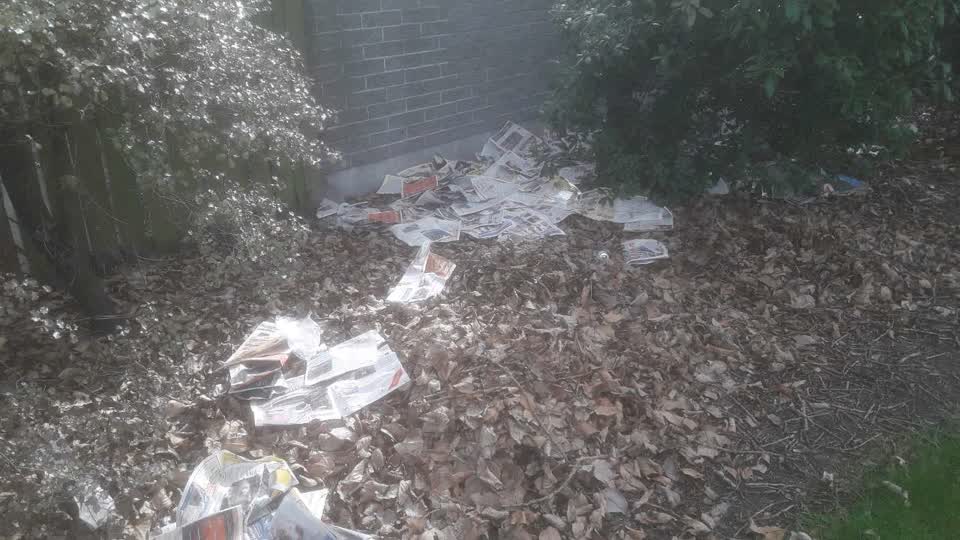 The photograph attached to this parks report