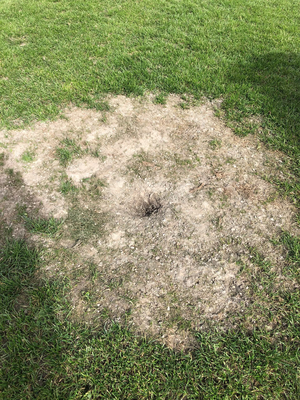The photograph attached to this parks report