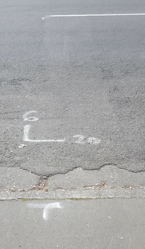 Roading/Streets, a report photo