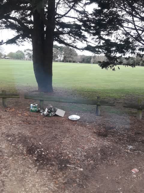Parks, a report photo
