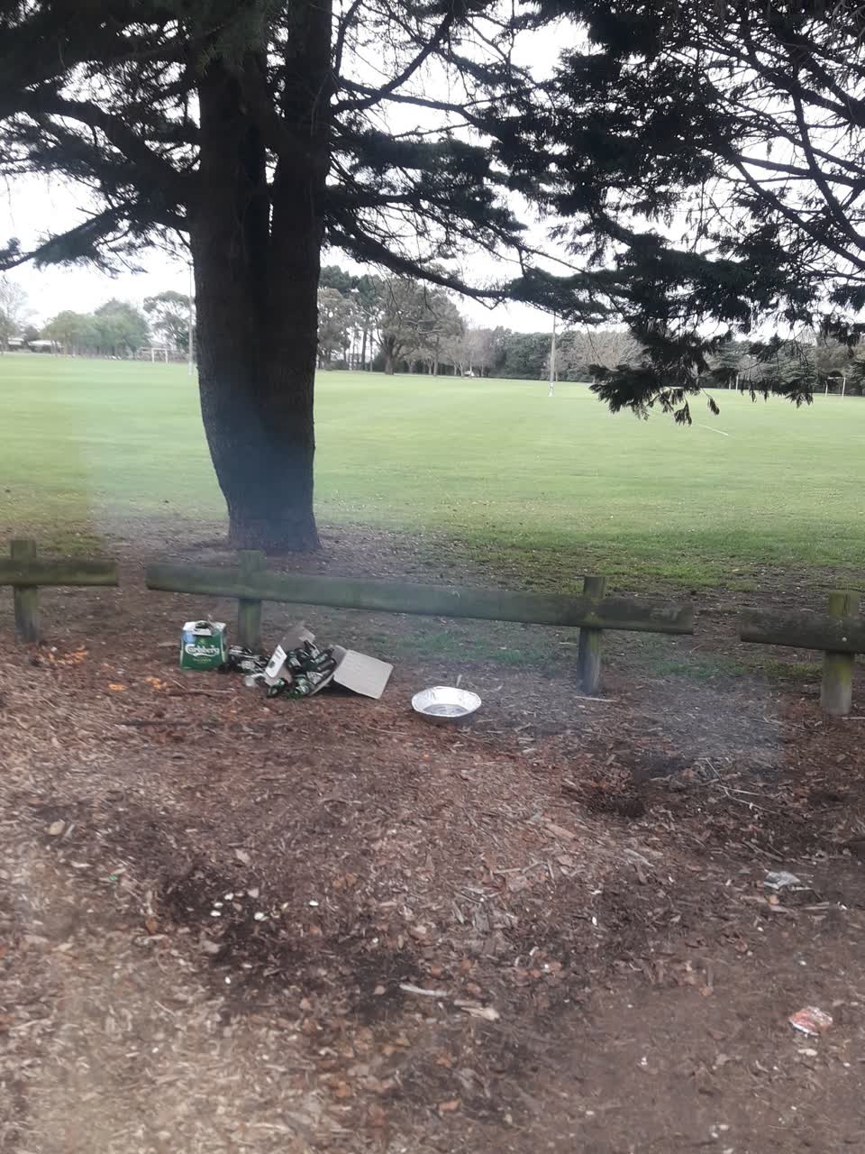The photograph attached to this parks report