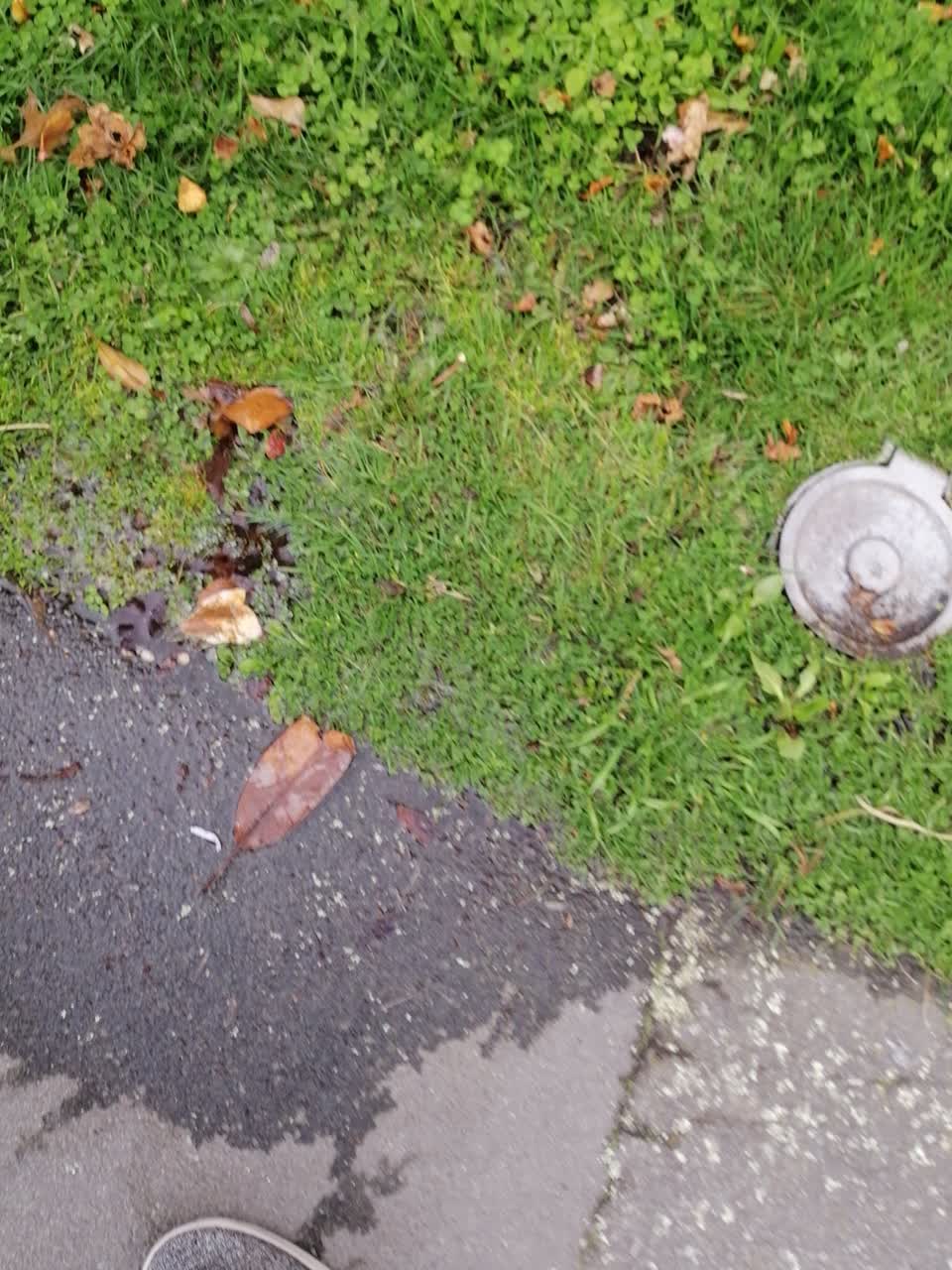 The photograph attached to this water supply report